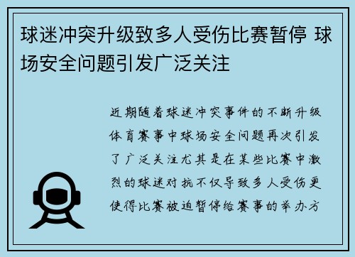 球迷冲突升级致多人受伤比赛暂停 球场安全问题引发广泛关注