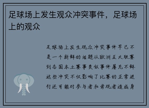 足球场上发生观众冲突事件，足球场上的观众